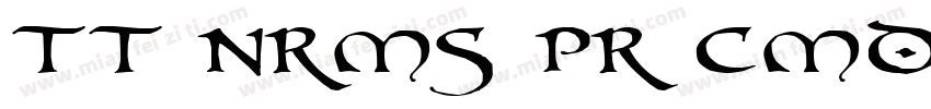 TT Nrms Pr Cmd字体转换